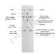 Plafon LED 15572-18 ASTRO CCT+RGB Leuchten Direkt